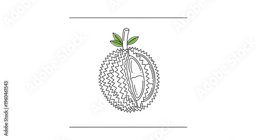 Minimalist durian fruit line art illustration showing a partially opened tropical fruit with green