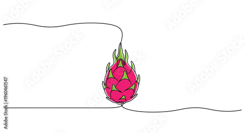 Modern single stroke drawing depicting an exotic pitaya fruit with bright pink and green hues