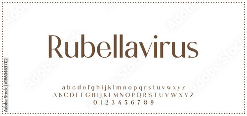 Elegant alphabet letters font and number. Typography luxury classic lettering serif fonts decorative for logo wedding vintage retro concept. vector illustration.