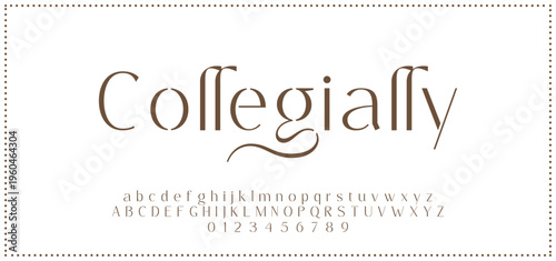 Elegant alphabet letters font and number. Typography luxury classic lettering serif fonts decorative for logo wedding vintage retro concept. vector illustration.