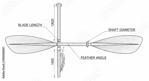 Canoe Paddle Blueprint: Dimensions, Feather Angle, Shaft Diameter, Blade Length
