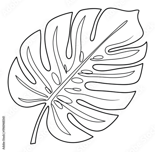 Minimalist black line drawing of a tropical monstera deliciosa plant leaf suitable for home decor prints, nature inspired merchandise, and contemporary graphic design projects