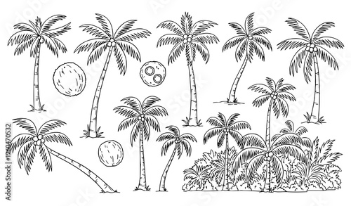 Hand drawn palm trees collection with coconut palms tropical jungle sketch vector illustration set