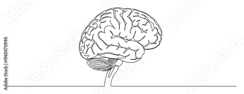 Continuous line drawing of a human brain visualizing intelligence and thought processes, perfect for scientific presentations or educational materials about anatomy.