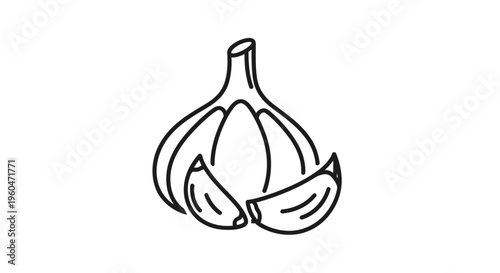Detailed illustration of a garlic bulb.