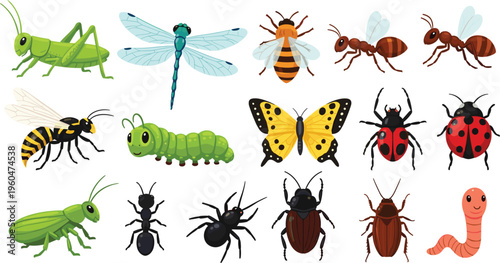 Insects collection with grasshopper butterfly bee ant ladybug caterpillar dragonfly beetle worm vector illustration set colorful cartoon style
