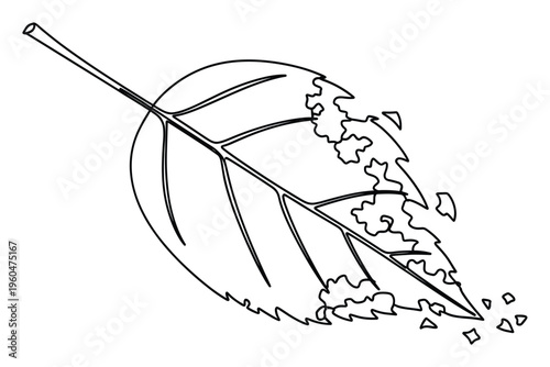 Black outline drawing of a damaged plant leaf with frayed edges and missing parts, symbolizing decay or insect activity, useful for environmental studies, educational materials, or