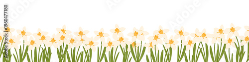 Spring daffodil floral border, narcissus flowers banner, yellow garden flowers. Hand drawn vector illustrations