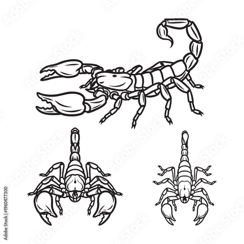Scorpion Pincer Stinger Three View Bold Line Art Vector Set