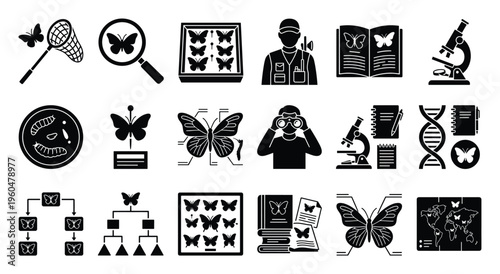 Comprehensive collection of glyph icons representing entomology and butterfly research, perfect for educational materials, scientific presentations, and biology related graphics
