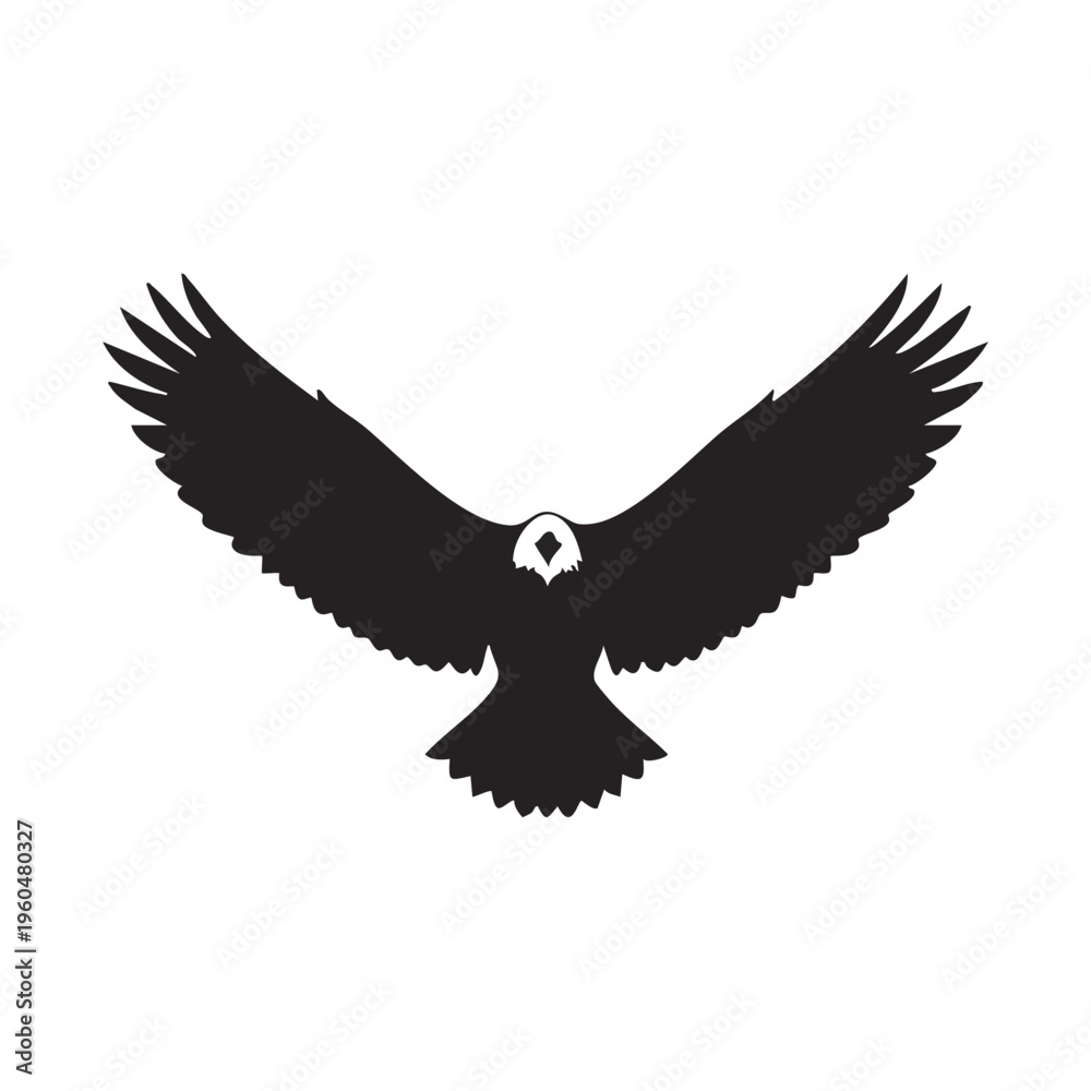 Obraz premium Bald Eagle in Flight
