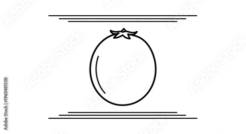 Stylized Minimalist Line Art of a Fresh Whole Tomato with Decorative Horizontal Frames Isolated on