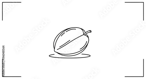 Minimalist black line art illustration of a tropical fruit, perhaps a cacao pod, centered on a