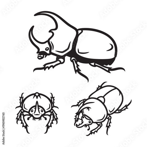 Horned Dung Beetle Pincer Horn Three View Bold Line Art Vector Design