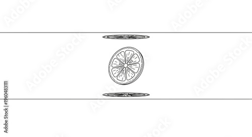 Minimalist citrus slice drawing floating illustration for fresh designs and healthy concepts