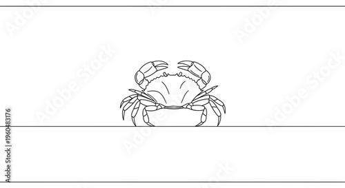 Minimalist continuous line art depicting a solitary marine crab illustration on a clean white