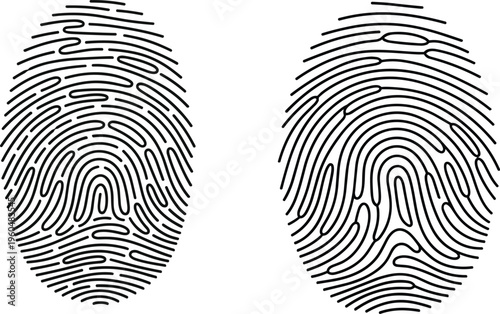 Fingerprint identification biometric pattern illustration black and white line art isolated on white background security identity forensic vector design