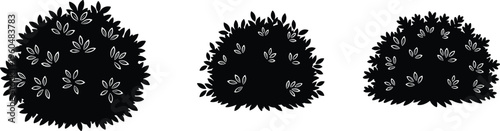 Fotografie flower, bush, silhouette, floral, shrub, plant, nature, botanical, foliage, gard