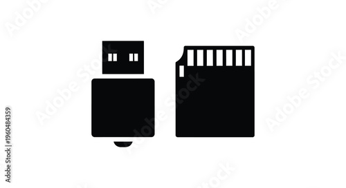 Fotografía A simple graphic depicts a usb drive and an sd card both presented as flat black