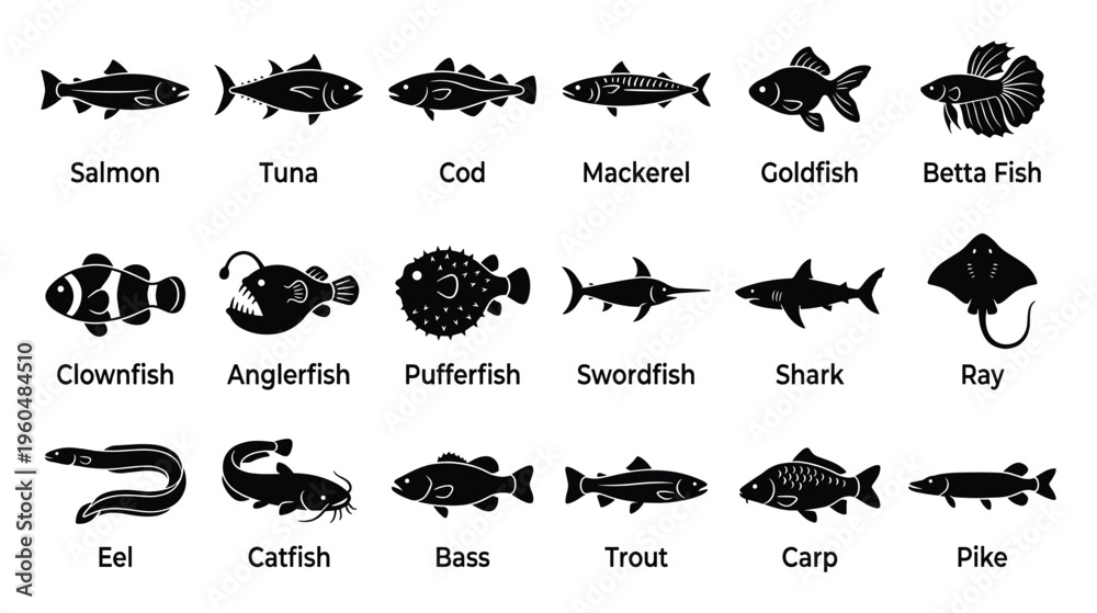 Obraz premium A collection of various common fish species depicted as black silhouettes with their names for educational resources aquaculture guides or marine biology presentations
