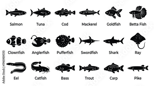 A collection of various common fish species depicted as black silhouettes with their names for educational resources aquaculture guides or marine biology presentations