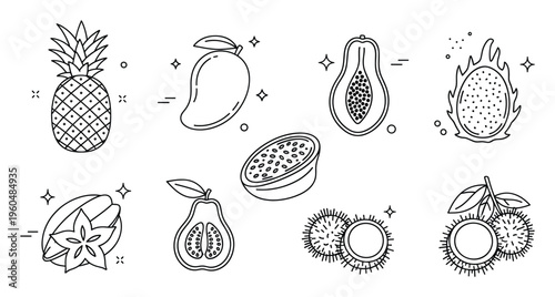 Essential outline tropical fruit icons showcasing pineapple mango papaya dragon fruit star fruit guava and rambutan perfect for healthy food branding culinary graphic layouts and summer