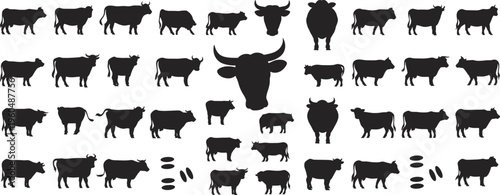 Large collection of cow and bull silhouette icons isolated on white background, flat vector illustration set of farm animals for livestock industry branding.