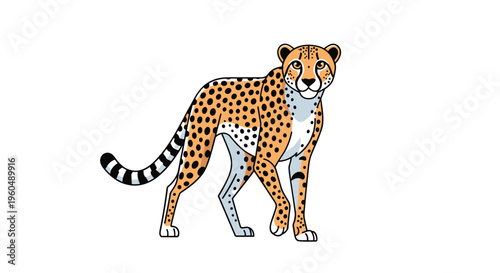 Elegant cheetah with characteristic black spots and long tail walks gracefully across a plain white background in nature.