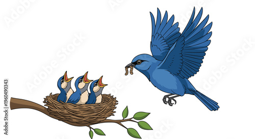 Blue bird mother flying towards a nest on a tree branch to feed her three hungry baby chicks with earthworms in her beak.