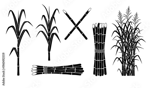 Sugarcane plant silhouette icons agriculture crop vector set