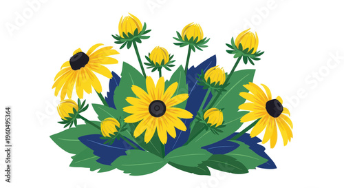 Vibrant Yellow Black-Eyed Susans with Green Leaves, Isolated on White