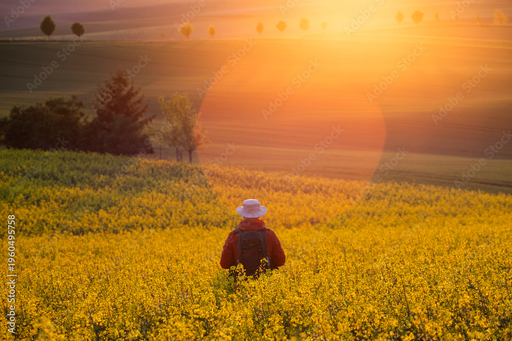 Fototapeta premium Gorgeous rural landscape with green sunny spring hills. South Moravia region, Czech Republic