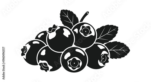A detailed illustration showcases a cluster of blueberries with leaves presented as a striking silhouette high quality professional