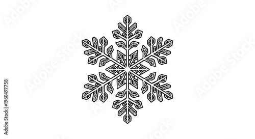 Detailed illustration of a single snowflake.