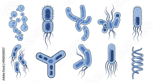 Educational set of various blue bacterial cells and microorganisms displaying different biological shapes and structures.