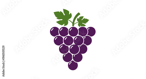 Fresh Purple Grapes Bunch with Green Leaf Isolated on White Background