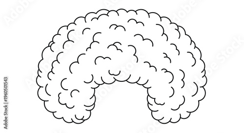Simple outline of a voluminous curly hairstyle or wig is depicted in black lines on a plain white background for hair styling design.
