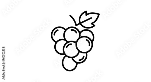 Simple Line Art Icon of a Bunch of Grapes with a Leaf and Stem