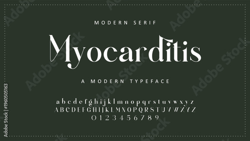 Luxury alphabet letters font and number. Typography elegant wedding classic lettering serif fonts decorative vintage retro concept. vector illustration
