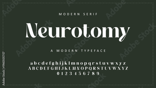 Luxury alphabet letters font and number. Typography elegant wedding classic lettering serif fonts decorative vintage retro concept. vector illustration