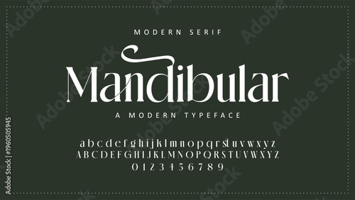 Luxury alphabet letters font and number. Typography elegant wedding classic lettering serif fonts decorative vintage retro concept. vector illustration