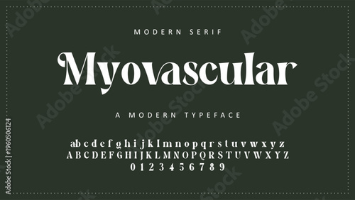 Luxury alphabet letters font and number. Typography elegant wedding classic lettering serif fonts decorative vintage retro concept. vector illustration