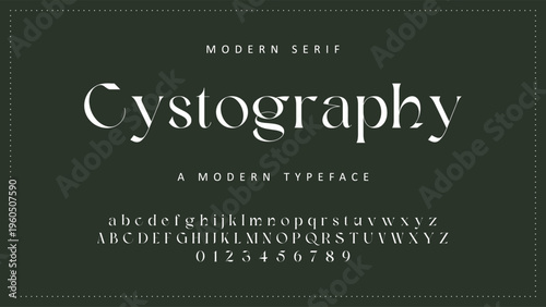 Elegant ligature alphabet letters font logo. Typography luxury classic lettering serif fonts decorative wedding vintage retro logos, design for fashion,beauty shop and brand . vector illustration