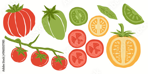 Set of colorful hand drawn red and green tomatoes with slices vector. Fresh tomato variety with slices and cherry tomatoes collection for cooking