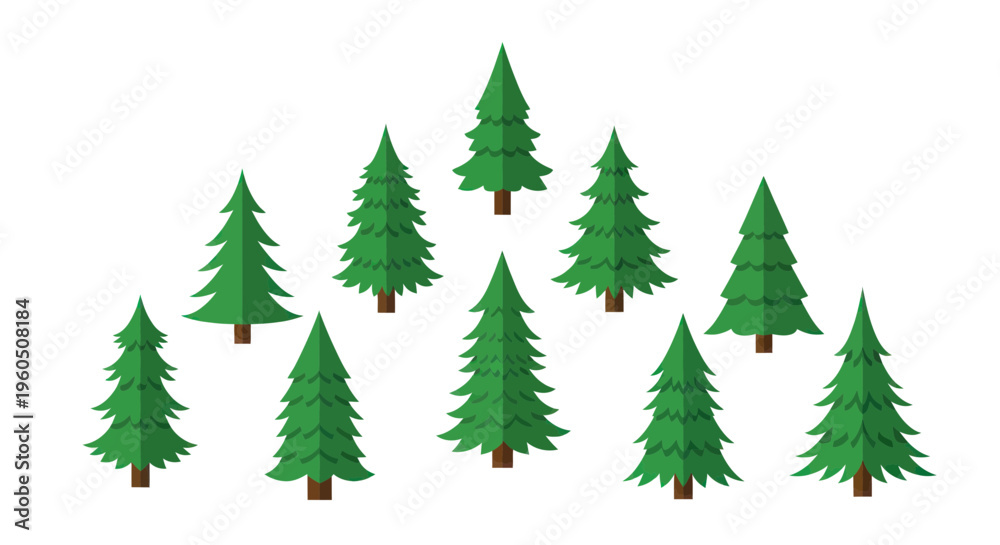 Obraz premium Green Christmas Trees Collection Isolated on White Background