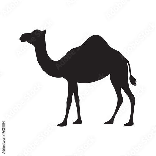 Camel icon silhouette on white background