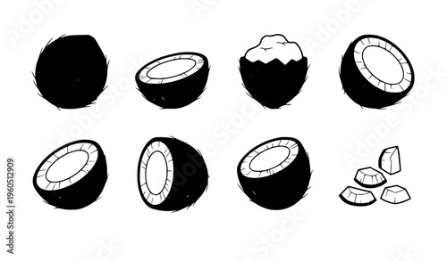 Tropical coconut icons fruit food vector illustration set