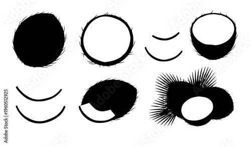 Coconut fruit cartoon vector tropical food icon set