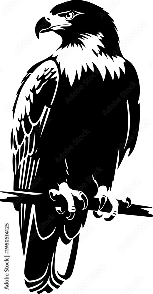 Fototapeta premium eagle in drawing stencil silhouette vector illustration