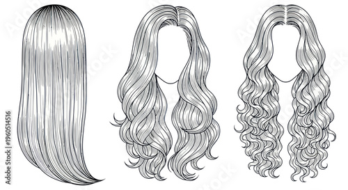 Hairstyles Collection: Straight, Wavy, Curly Hair Drawing